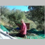  ... mit 2 Wochen Sonne!